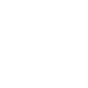 boston school international ib logo