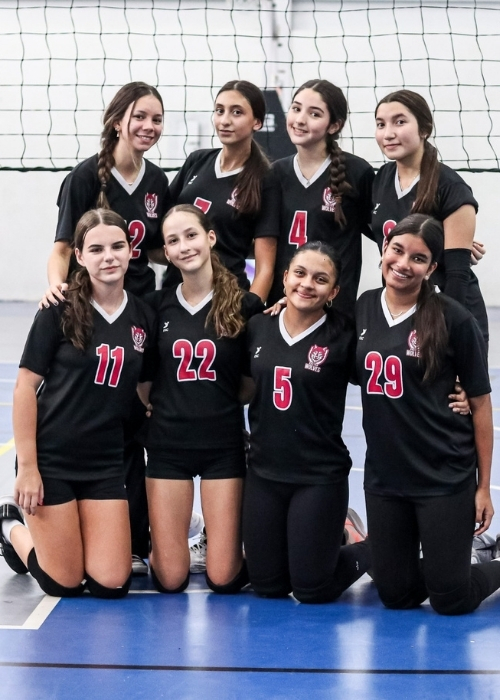 Actividades extracurriculares BSI 7