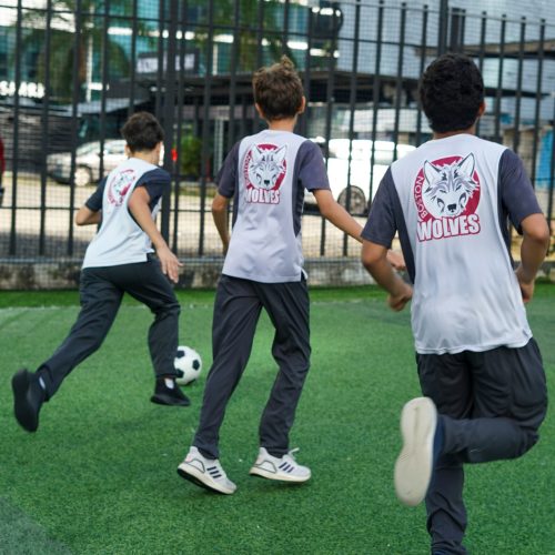 SPORTS BSI 5